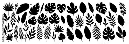 Black silhouette collection of assorted tropical leaves. Monstera, palm, banana, and exotic foliage for botanical design projects