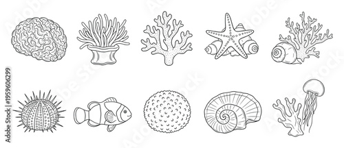 Detailed line drawings of diverse marine life including corals, starfish, clownfish, jellyfish, sea urchin, and shells, perfect for educational materials and underwaterthemed projects