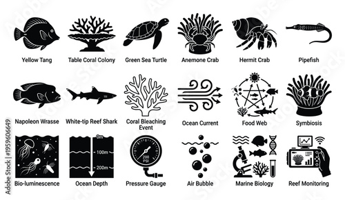 A comprehensive collection of marine life and oceanography icons depicting diverse underwater species, ecological processes, and scientific research for educational materials, environmental