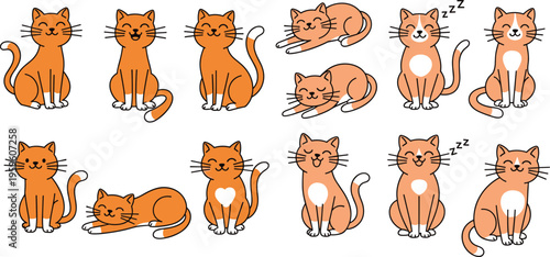 Set of cute cat illustrations in different poses and expressions, cartoon pet character collection with sleeping and sitting kittens isolated on white background