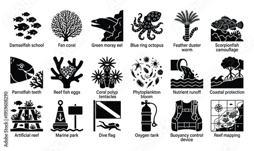 Marine life and ocean conservation icons featuring coral reefs, diverse aquatic species, diving gear, environmental challenges for educational and awareness projects