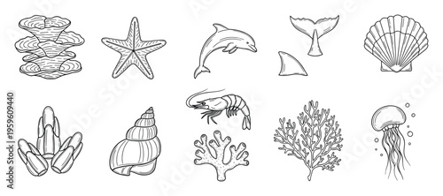 A comprehensive set of sea life and coral reef line drawings ideal for educational content ocean conservation awareness campaigns or decorative applications.