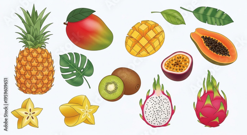A colorful vector illustration of various tropical fruits and leaves on a white background