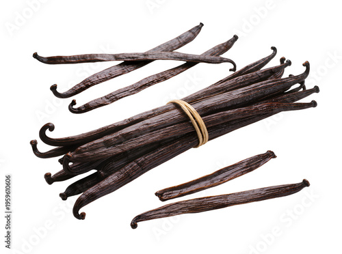 Bilde på lerret Premium dark vanilla beans, a fragrant bundle tied with twine and scattered pods