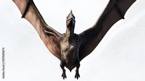 Dramatic view of a brown flying reptile gliding across a pale daytime sky.