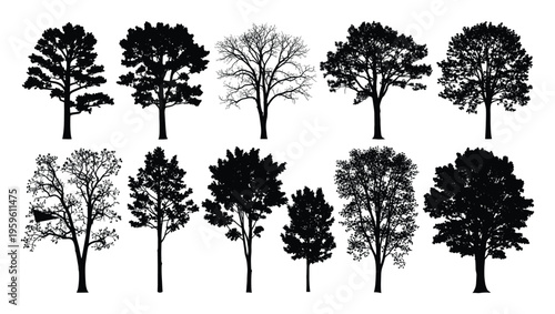 A collection of various tree silhouettes depicting diverse deciduous and evergreen species perfect for landscape design, environmental projects, and natural branding applications