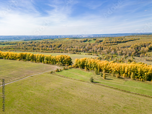 Fotografie Aerial view of autumn agricultural landscape with tree lines and Kemerovo city o