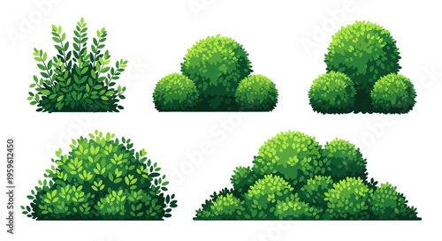 Set of Green Garden Bushes and Shrubs Isolated on White Background for Landscaping Design