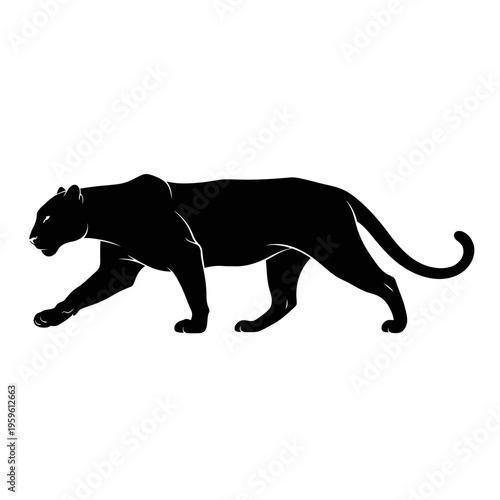 Black Panther Silhouette Walking Gracefully Isolated on White.