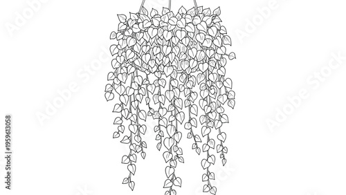 Elegant line art illustration of a lush hanging plant with heart shaped leaves in a decorative pot against a plain white background.