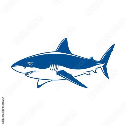 Blue Shark Illustration.