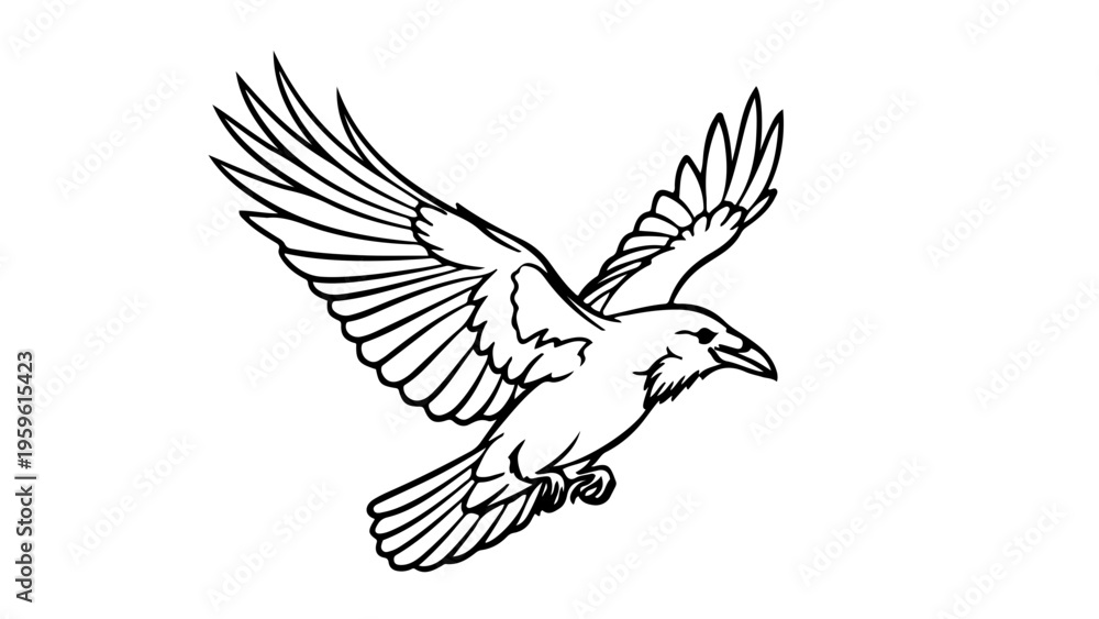 Obraz premium A minimalist black and white illustration of a bird in flight with outstretched wings