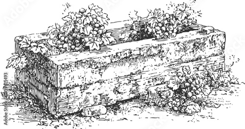 Old wooden planter box with blooming flowers and leaves outdoors in rustic garden