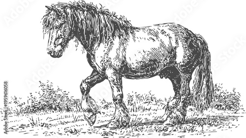 Sketch of a horse walking with detailed fur texture and natural surroundings