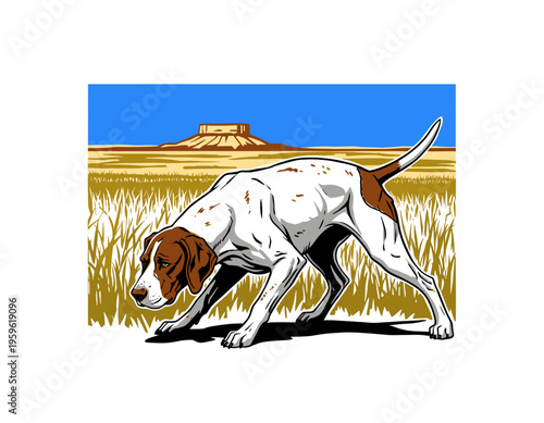 Hunting dog illustration. Pointer dog in a prairie field vector artwork. Wildlife sport graphic design for t shirt print, poster, and sticker.
