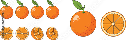 Orange fruit collection with whole fruits and sliced pieces, fresh citrus vector illustration for healthy eating, organic farming, and vitamin rich diet design