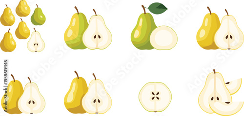 Pear fruit collection with whole, sliced, and halved pieces, fresh healthy food vector illustration for organic farming, nutrition, and natural diet design