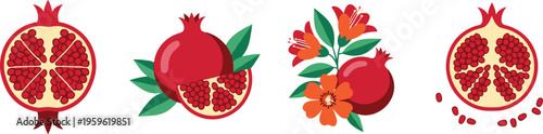 Pomegranate set with whole fruits, slices, seeds, and flowers, fresh organic food vector illustration for healthy diet, nutrition, and natural design