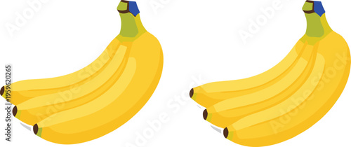 Banana bunch set with ripe yellow tropical fruits, fresh healthy food vector illustration for organic diet, nutrition, and summer design