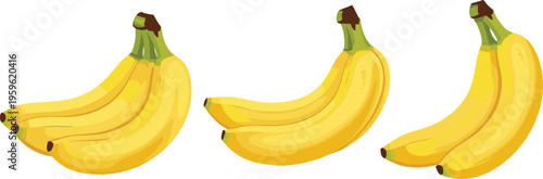 Banana collection with ripe yellow tropical fruits in various angles, fresh healthy food vector illustration for organic diet, nutrition, and summer design