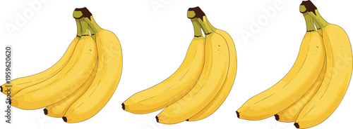 Banana bunch collection with ripe yellow tropical fruits, fresh healthy food vector illustration for organic diet, nutrition, and summer design