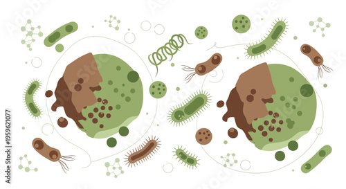 Microscopic bacteria and cells in a petri dish, scientific research and microbiology concept
