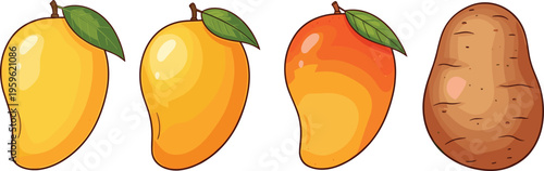 Mango fruit collection with ripe yellow and orange variations, fresh tropical food vector illustration for healthy eating, organic farming, and summer design