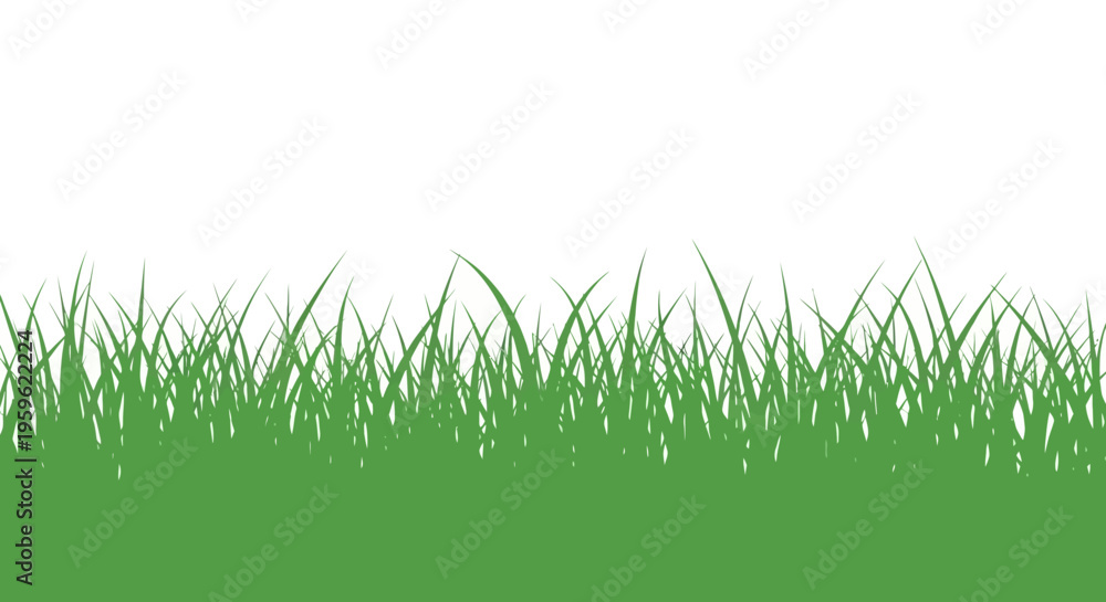 Fototapeta premium Minimalist Green Grass Border Illustration Isolated on White Background