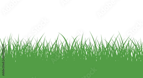 Minimalist Green Grass Border Illustration Isolated on White Background
