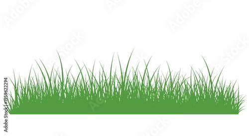 Green Grass Border Silhouette Isolated on White Background for Landscape and Nature Graphic Design Elements