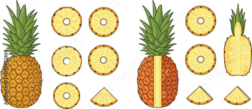 Pineapple collection with whole fruits, slices, and rings, fresh tropical food vector illustration for healthy eating, summer design, and organic farming