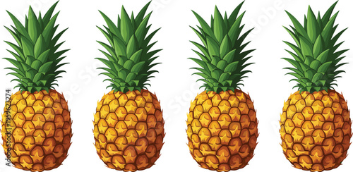 Pineapple fruit collection with whole tropical fruits, detailed realistic vector illustration for fresh food, healthy diet, and summer design