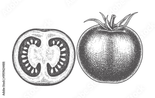 Hand drawn of a whole tomato and a tomato slice food ingredient