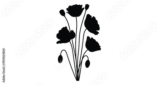 Silhouetted poppy flowers and seed pods on a stark white background