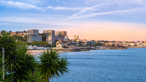 Praia da Ribeira beach and old town of Cascais, Portugal framed by green Yucca plant leaves at sunset. Panorama of calm blue sea, modern architecture and historic buildings