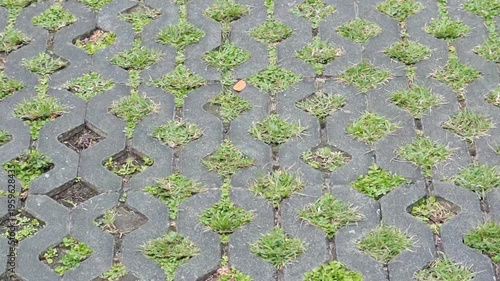 Interlocking paving blocks for planting grass, concrete.