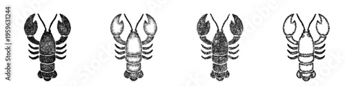 Sketch lobster icon design set