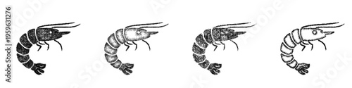 Sketch shrimp icon design set