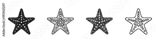 Sketch starfish icon design set