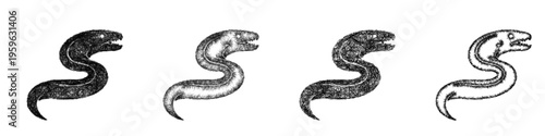 Sketch eel icon design set