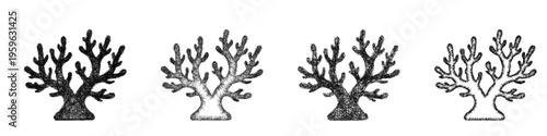 Sketch coral icon design set