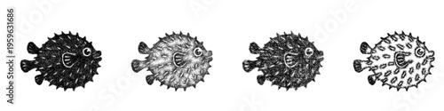 Sketch pufferfish icon design set