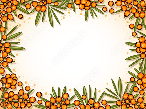 Sea Buckthorn frame banner with copy space. Vector illustration.