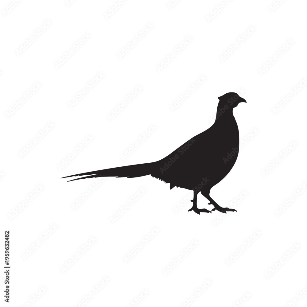Fototapeta premium Common pheasant silhouette vector flat illustration design.