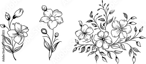 Delicate Floral Line Art Illustrations with Budding Branches and PetalsHand Drawn Sketch Style