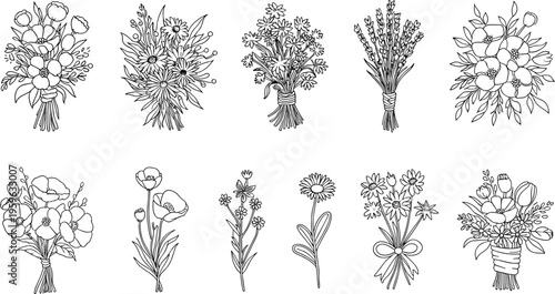Hand-drawn floral arrangements delicate line art bouquets botanical sketches natural elements isolated on white minimalist style