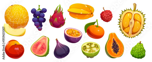Cartoon tropical ripe raw fruits and berries. Papaya, melon, grapes and tangerine vector citrus fruits. Cartoon durian, feijoa, fig and lychee, peach, durian and pitaya, maracuja, carambola, guava