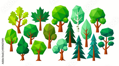 A vector illustration of various trees including oak, pine, maple, spruce, and fir trees in a forest.