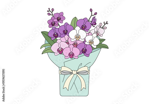Illustration of an orchid bouquet wrapped in light blue paper with a cream bow