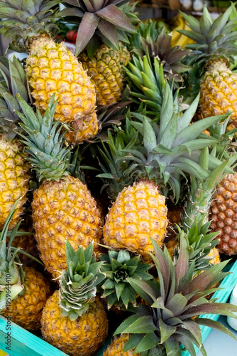 Antigua,West Indies.Local, sweet pinapples at farm stand.